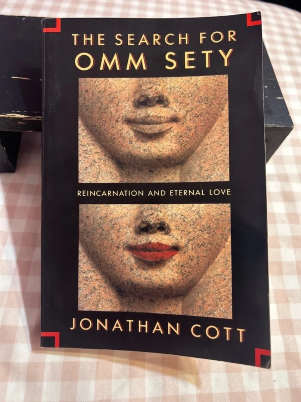 The Search for Omm Sety: A Story of Eternal Love by Jonathan Cott Vtg Paperback